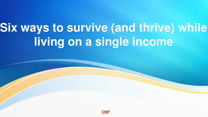 six ways to survive and thrive while living on a single income