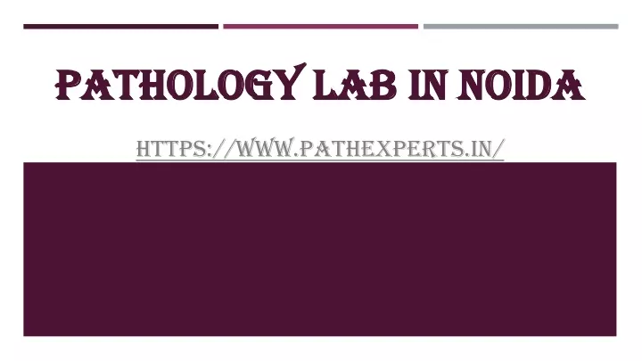 pathology lab in noida