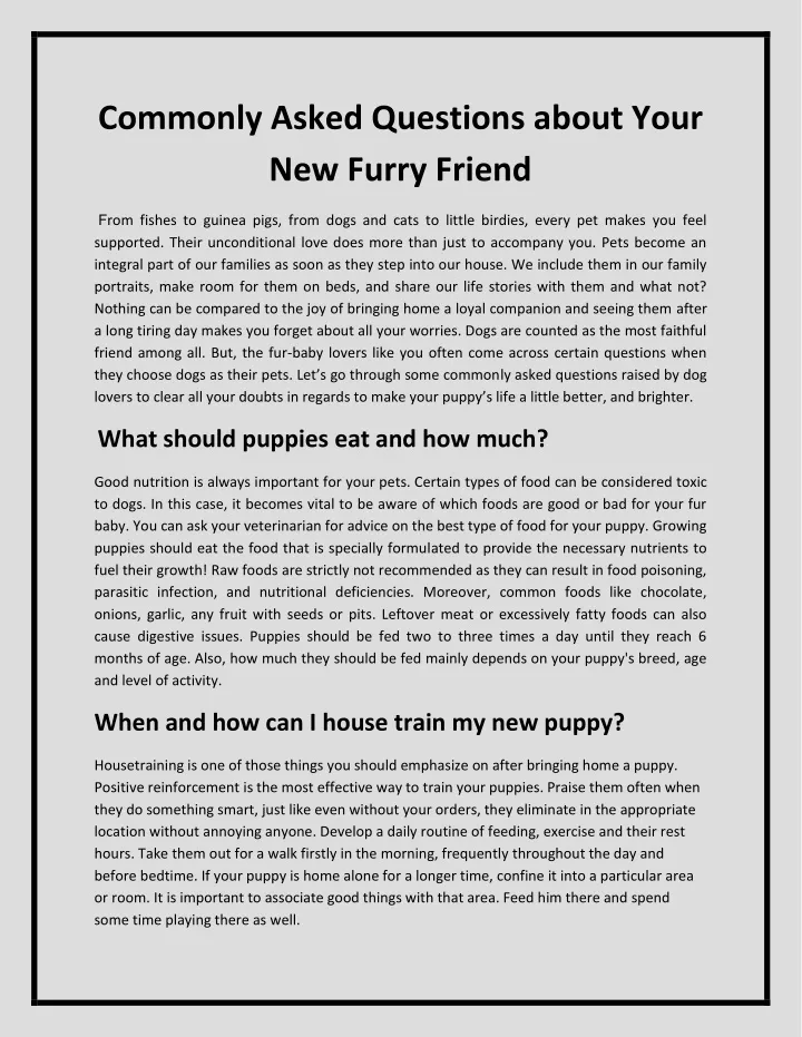 commonly asked questions about your new furry
