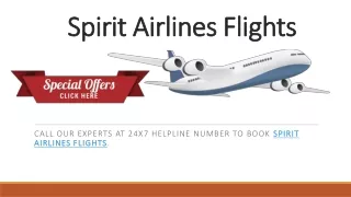 Book spirit Airlines flights at an affordable price