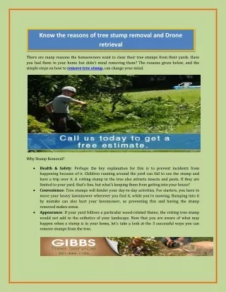 know the reasons of tree stump removal and drone