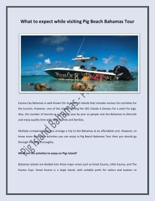 Pig Beach bahamas tour at Affordable Packages - Piecesof8charters