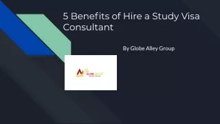 5 benefits of Hire a Study Visa Consultant