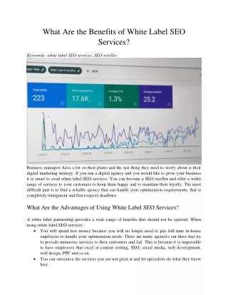 what are the benefits of white label seo services