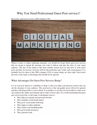 why you need professional guest post services