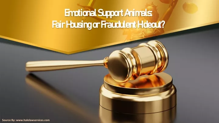 emotional support animals fair housing or fraudulent hideout