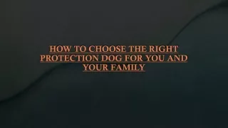 HOW TO CHOOSE THE RIGHT PROTECTION DOG FOR YOU AND YOUR FAMILY