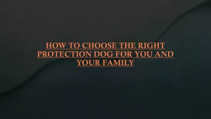 how to choose the right protection dog for you and your family