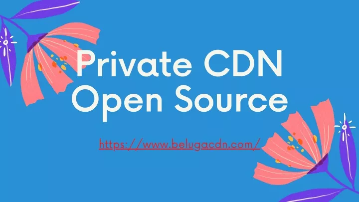 private cdn open source