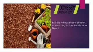 Explore the Extended Benefits of Mulching in Your Landscape Needs