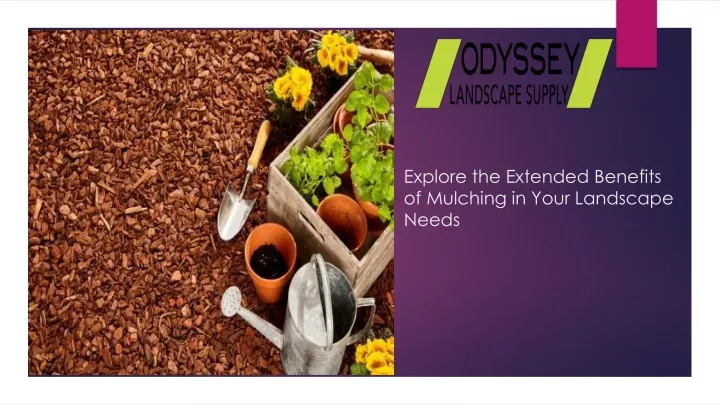 explore the extended benefits of mulching in your landscape needs