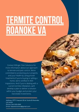 termite control roanoke va