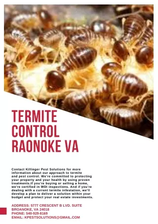 termite control raonoke va