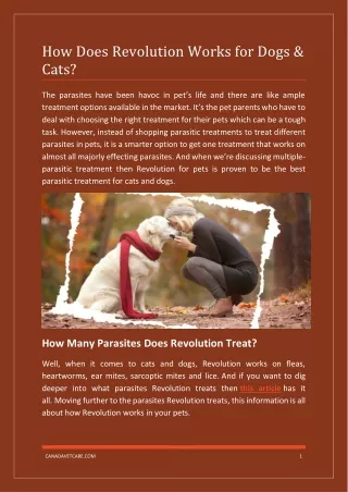 Pets Health Care: How Does Revolution Works for Dogs & Cats?