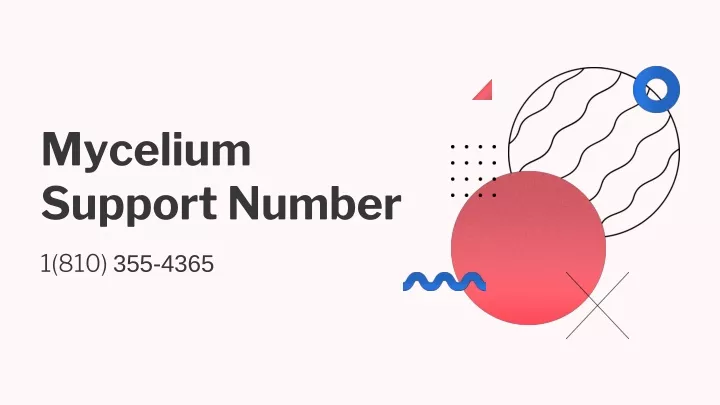 mycelium support number