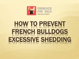 How to Prevent French Bulldogs Excessive Shedding