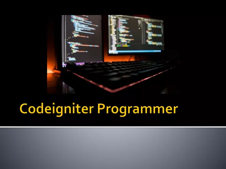 codeigniter programmer