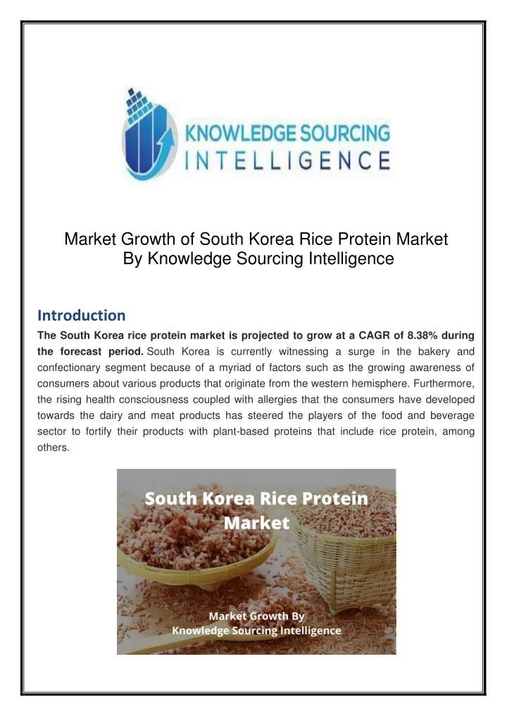 market growth of south korea rice protein market