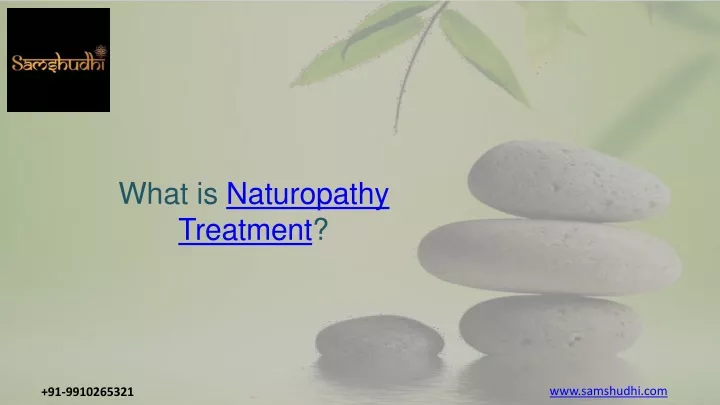 what is naturopathy treatment