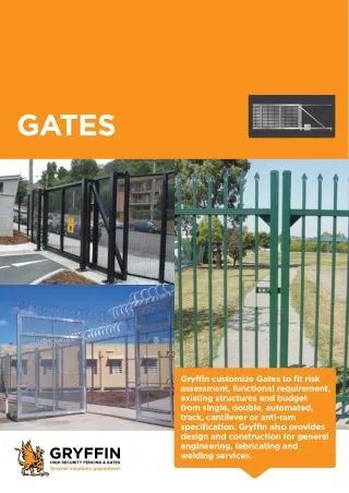 Gryffin Customize Gates to Fit Risk Assessment