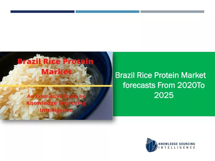 brazil rice protein market forecasts from 2020to