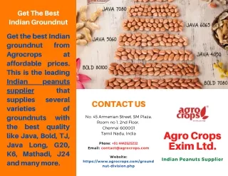 get the best indian groundnut