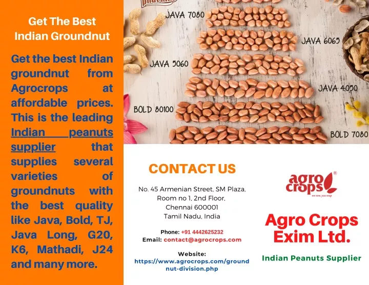 get the best indian groundnut
