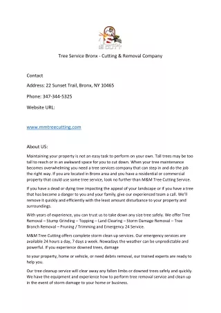 tree service bronx cutting removal company