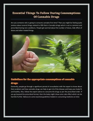 Essential Things To Follow During Consumptions Of Cannabis Drugs