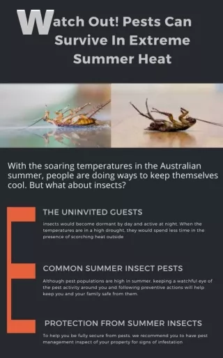 Watch Out Pests Can Survive In Extreme Summer Heat