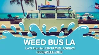 Get the Best Cannabis Tour from Professional Industry