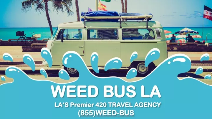 weed bus la weed bus la la s premier 420 travel