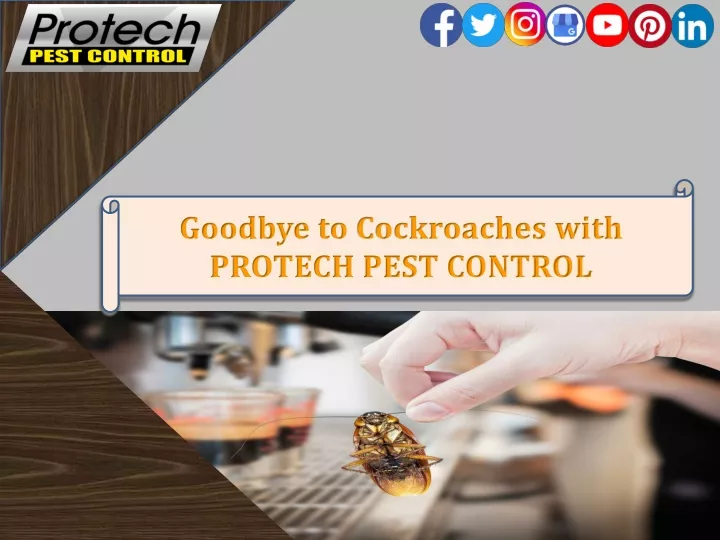 goodbye to cockroaches with protech pest control