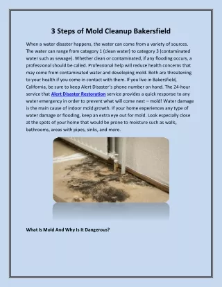 3 Steps of Mold Cleanup in Bakersfield