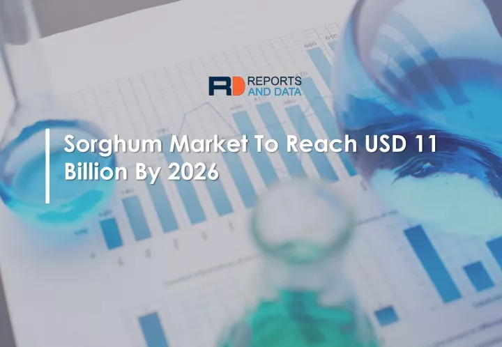 sorghum market to reach usd 11 billion by 2026