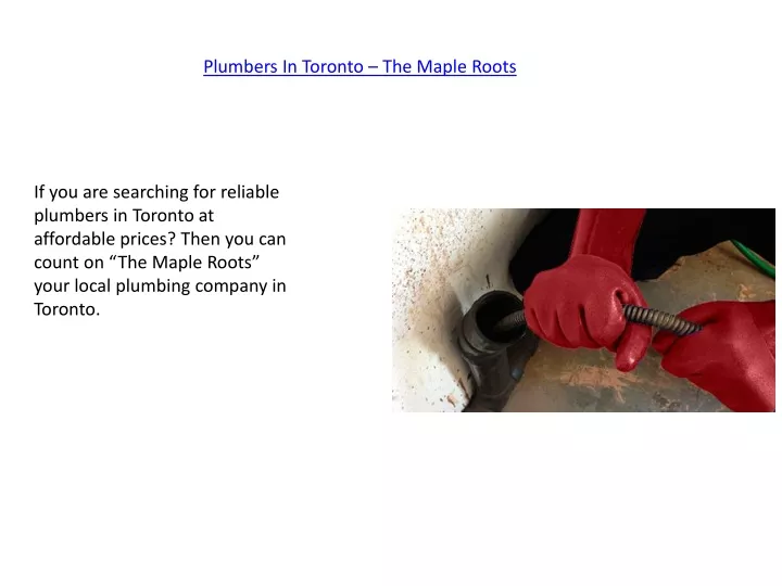 plumbers in toronto the maple roots