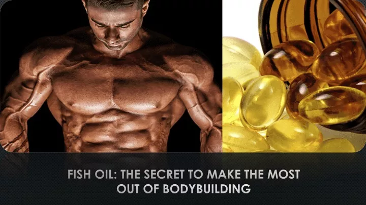 fish oil the secret to make the most out of bodybuilding