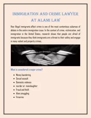 Immigration and Crime Lawyer at Alami Law