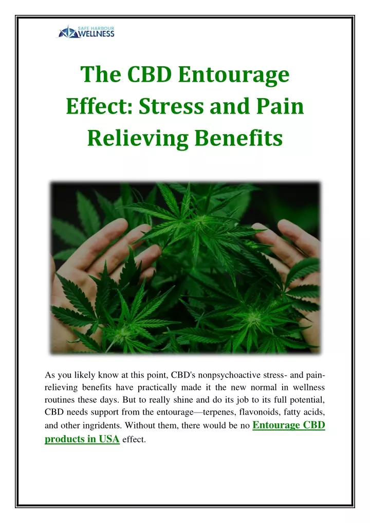 the cbd entourage effect stress and pain