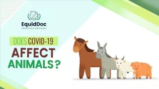 Does COVID-19 Affect Animals?