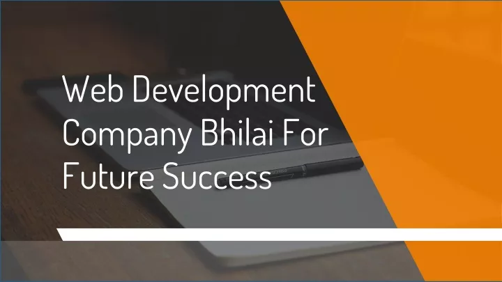 web development company bhilai for future success