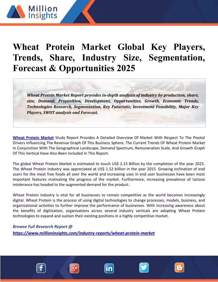 wheat protein market global key players trends