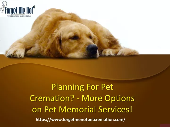 planning for pet cremation more options on pet memorial services