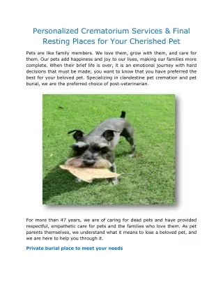 Personalized Crematorium Services & Final Resting Places for Your Cherished Pet
