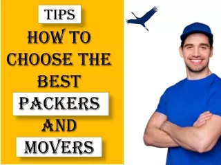 Local Movers Chicago
