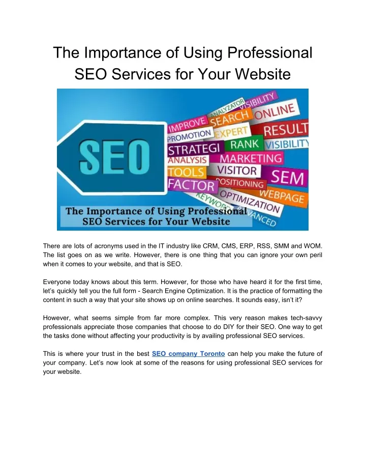 the importance of using professional seo services