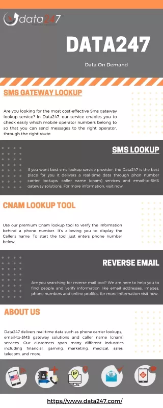 Look our Latest Cnam lookup tool | Data247