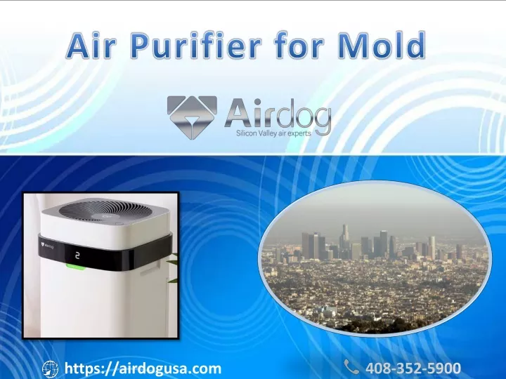 air purifier for mold