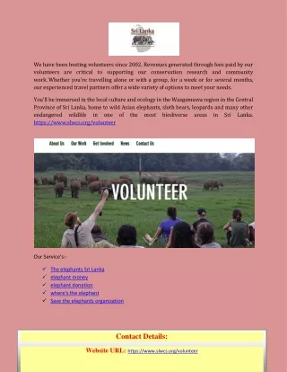 we have been hosting volunteers since 2002