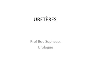 appareil uretères